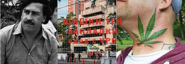 сатива Верхний Тагил